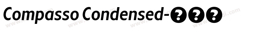Compasso Condensed字体转换
